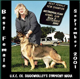 U.K.C Ch ShadowValley's Symphony-Nadia